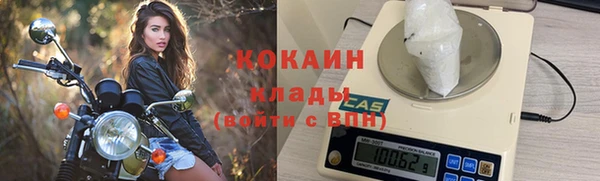 сатива Арсеньев