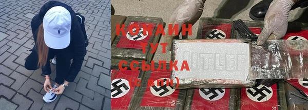 сатива Арсеньев